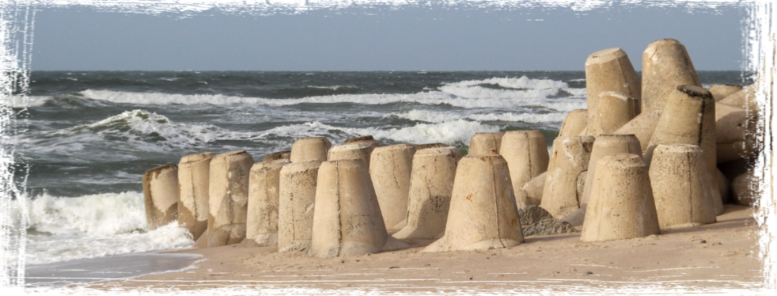 Pixabay 171051 TomCam