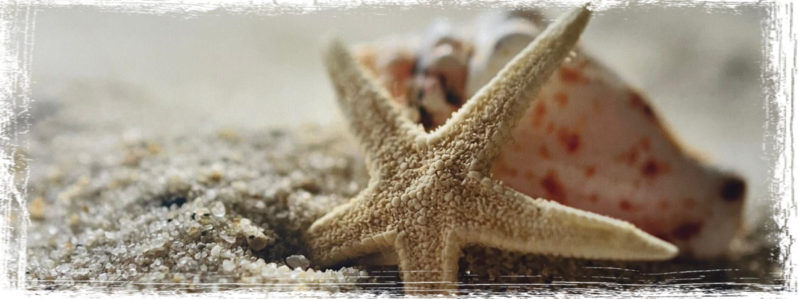 Montags - Gruppe Betroffene